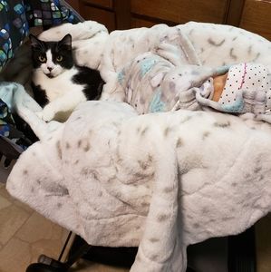 Meet your Posher, Brandi